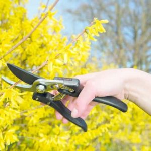 Garden Hand Tools - obrázek